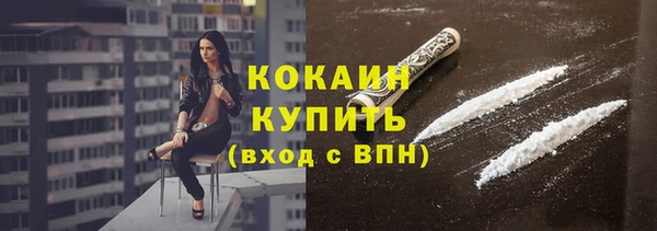 ГАЛЛЮЦИНОГЕННЫЕ ГРИБЫ Корсаков