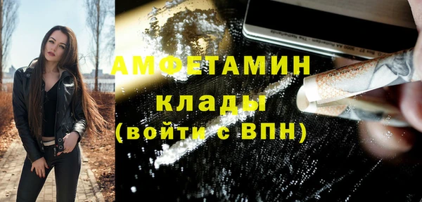 шишки Козловка