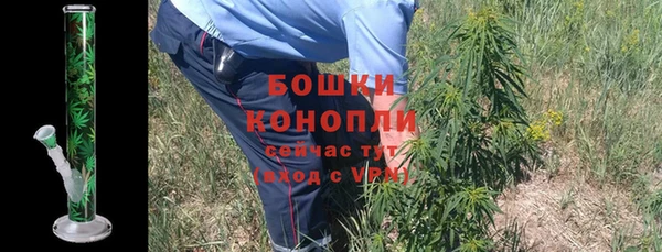 шишки Козловка