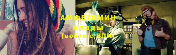 шишки Козловка
