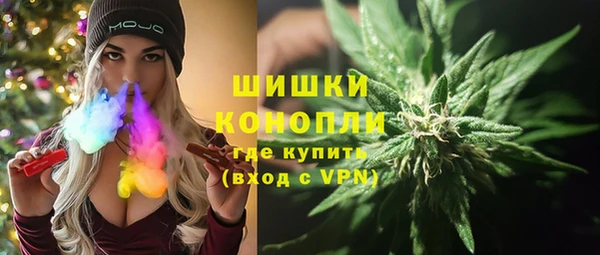 шишки Козловка
