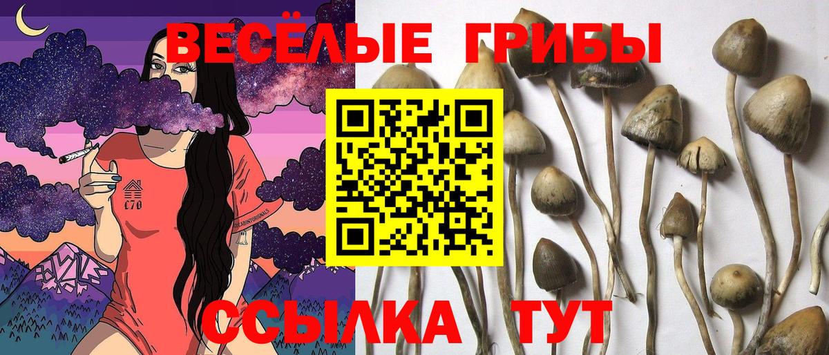 Псилоцибиновые грибы MAGIC MUSHROOMS  Кандалакша 