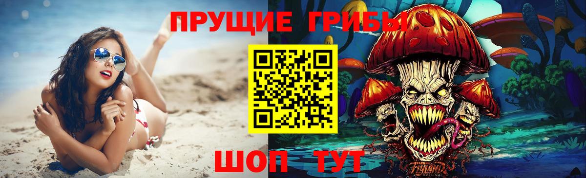 Псилоцибиновые грибы прущие грибы  Вход с VPN  Кандалакша 