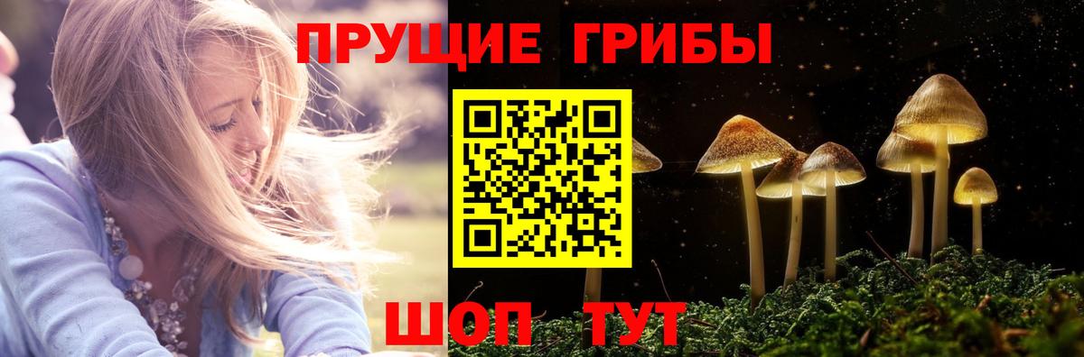 Псилоцибиновые грибы GOLDEN TEACHER Кандалакша